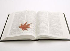 德国凭梅开二度，轻松击败罗马尼亚