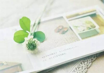 德国凭梅开二度，轻松击败罗马尼亚