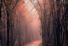 od体育官方入口-大牌球星在欧洲顶级联赛中展现出色表现,点亮足球世界杯