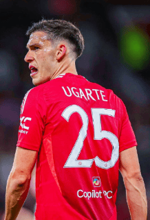 沃尔夫斯堡引进前英超名将，力争重返欧战舞台的简单介绍